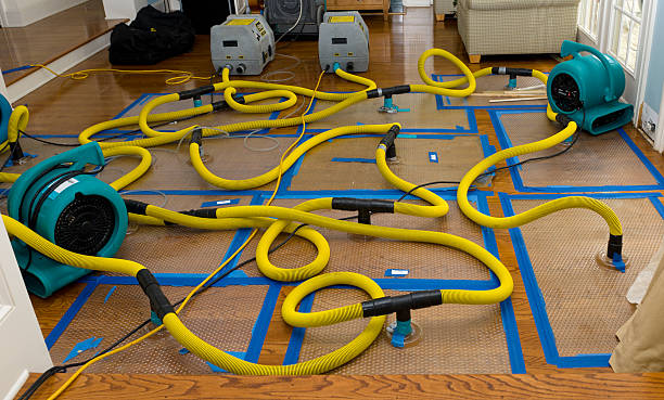 Professional Crawl Space Water Removal technician working in Auburn, IL